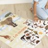 Discovery poster – savanna - icon