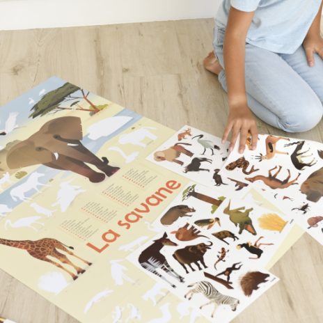 Discovery poster – savanna
