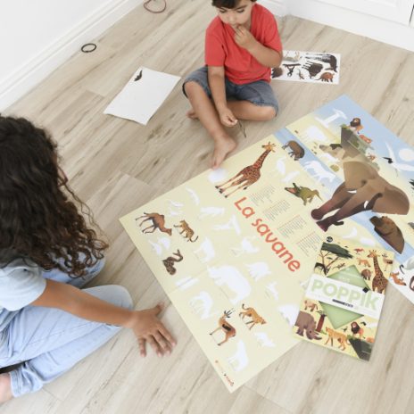 Discovery poster – savanna - 1