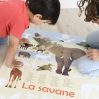 Discovery poster – savanna - icon_2