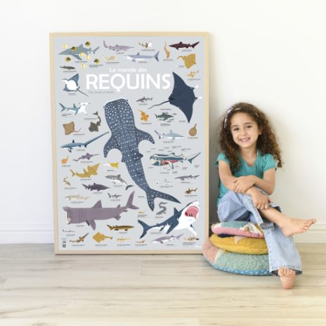 Discovery poster - sharks  - 1