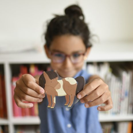 Mini discovery poster - pony-club - 5