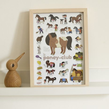 Mini discovery poster - pony-club - 6
