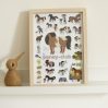 Mini discovery poster - pony-club - icon_6