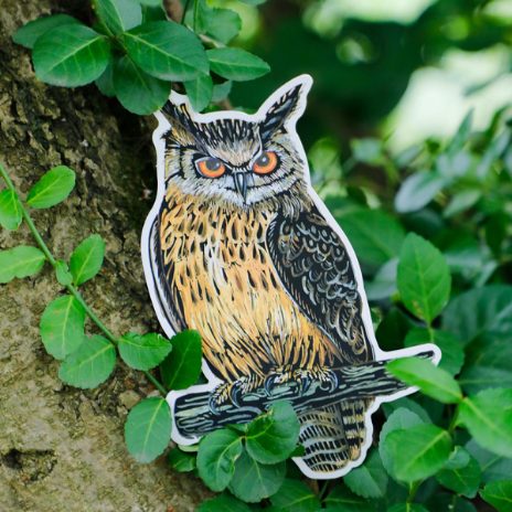 Scratch stickers - birds - 1