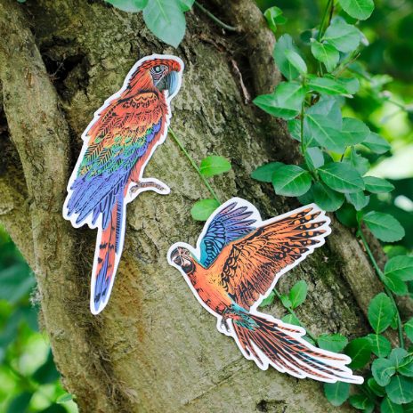 Scratch stickers - birds - 2