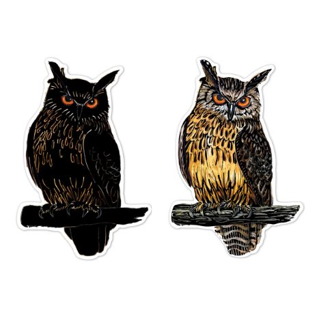 Scratch stickers - birds - 6