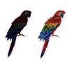 Scratch stickers - birds - icon_7