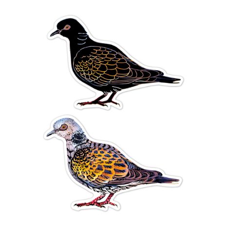 Scratch stickers - birds - 8
