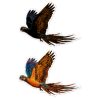 Scratch stickers - birds - icon_9