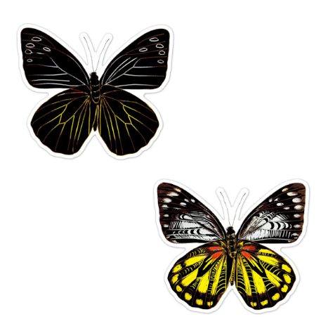 Scratch stickers - butterflies - 6