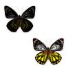 Scratch stickers - butterflies - icon_6