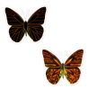 Scratch stickers - butterflies - icon_7