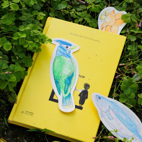 Paint bookmarks with water - flowers - 5